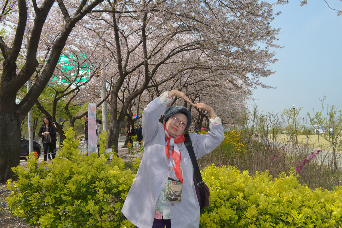 ทัวร์เกาหลี Romantic Spring 11-15 เมษายน 2559