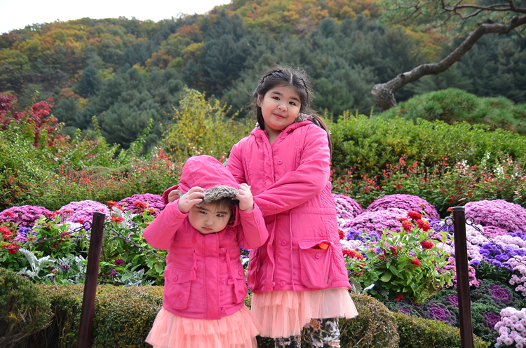 กรุ๊ปทัวร์เกาหลี Happy Delight Autumn 2015
